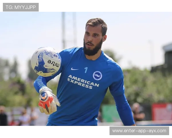 布莱顿完成锋线补强布局